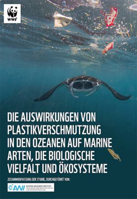WWF Auswirkungen von Plastikverschmutzung im Ozean auf marine Arten Biodiversitaet und Oekosysteme 900 1