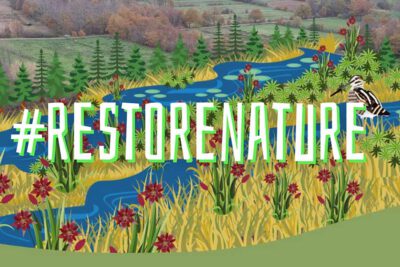 RestoreNature 1920w 900
