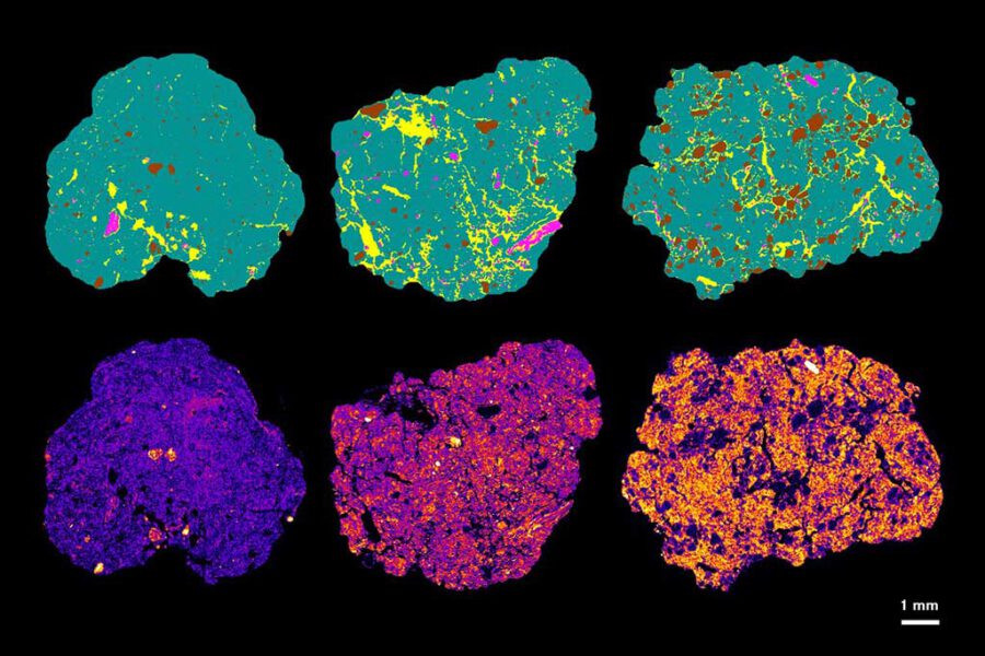 Oben: Zweidimensionale Anschnitte aus Röntgen-CT-Aufnahmen von Proben aus Parabraunerde-, Schwarzerde- und Gley-Böden, die sich in ihrem Feuchteregime unterscheiden (v.l.n.r.). Sie zeigen, wie verschieden Poren (gelb), organische Reste (violett), die Bodenmatrix (grün) und Steine (braun) verteilt sind. Unten: Die organische Bodensubstanz wurde mit Osmium markiert. Unterschiede im Kohlenstoffgehalt drücken sich in der mittleren Osmiumkonzentration von niedrig (blau) bis hoch (gelb) aus. Die Kohlenstoffgehalte sind in allen Böden kleinräumig variabel. Foto: UFZ