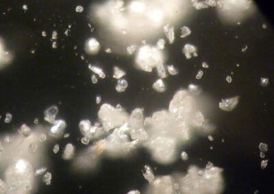 Mikro- und Nanoplastik aus der Atmosphäre belastet Meere 1 2012 11 30 01 Mikroplastik KielerFoerde JMartin GEOMAR 1024