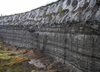 Batagai-Permafrost-Abbruch in Sibirien. Forschende haben den Permafrost in 50 Metern Tiefe jetzt auf ein Alter von 650.000 Jahre datiert - er ist damit der der älteste jemals in Eurasien nachgewiesene Permafrostboden. (Foto: Thomas Opel)