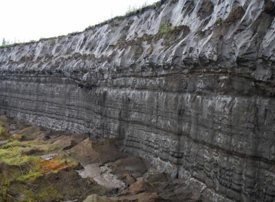 Tauender Permafrost beeinflusst das Weltklima 1 Batagai-Permafrost-Abbruch in Sibirien. Forschende haben den Permafrost in 50 Metern Tiefe jetzt auf ein Alter von 650.000 Jahre datiert - er ist damit der der älteste jemals in Eurasien nachgewiesene Permafrostboden. (Foto: Thomas Opel)