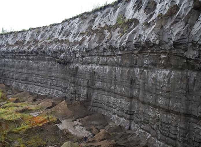 Batagai-Permafrost-Abbruch in Sibirien. Forschende haben den Permafrost in 50 Metern Tiefe jetzt auf ein Alter von 650.000 Jahre datiert - er ist damit der der älteste jemals in Eurasien nachgewiesene Permafrostboden. (Foto: Thomas Opel)