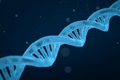 dna gb0b999c38 1920 1024