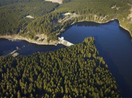Die Rappbodetalsperre im Harz ist von Wäldern umgeben und die größte Trinkwassertalsperre Deutschlands Foto: André Künzelmann/UFZ