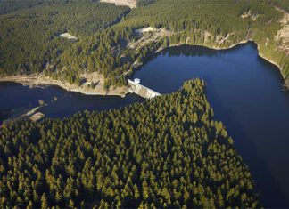 Die Rappbodetalsperre im Harz ist von Wäldern umgeben und die größte Trinkwassertalsperre Deutschlands Foto: André Künzelmann/UFZ