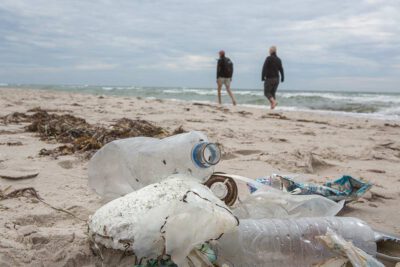 Clean-up im Rahmen eines Seminars zum Bundesfreiwilligendienstes