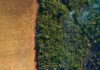 Aerial view of a harvested corn field and forest under the haze of smoke from © Day's Edge Productions / WWF-US