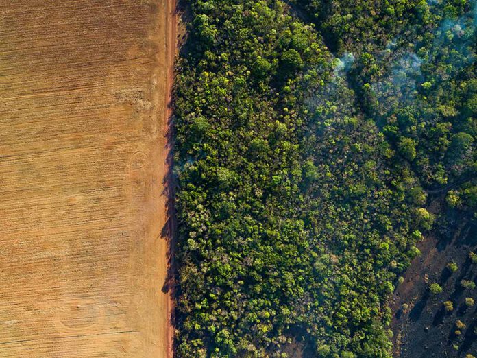 Aerial view of a harvested corn field and forest under the haze of smoke from © Day's Edge Productions / WWF-US