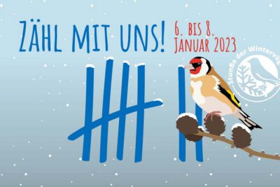 Vom 6. bis 8. Januar 2023 zählt Bayern für eine Stunde lang die Vögel in Parks, Gärten und den Futterstellen.