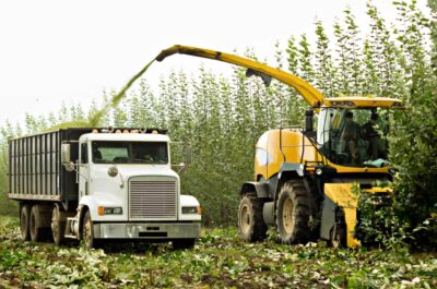 Harvesting biomass for jet fuel / © Marcus Kauffman (CC BY-NC-SA 2.0 Deed)