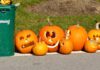 Jack-o'-lanterns made of carved pumpkins left at curbside after Halloween / © Mk2010 (CC BY-SA 3.0)