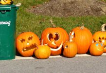 Jack-o'-lanterns made of carved pumpkins left at curbside after Halloween / © Mk2010 (CC BY-SA 3.0)