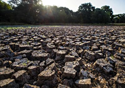 Klimawandel verstärkt extreme Hitze im Boden Foto: André Künzelmann / UFZ