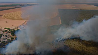 WWF schlägt Alarm: Größte Savanne der Welt bereits zur Hälfte zerstört 1 Photo: Myke Sena, WWF-Brazil
