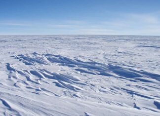 Sastrugi stick out from the snow surface in this photo near Plateau Station in East Antarctica. Most of Antartica looks quite flat, despite the subtle domes, hills, and hollows. Credit: Atsuhiro MutoHigh