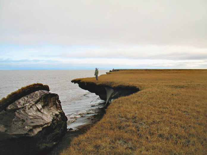 USGS researcher Benjamin Jones examines a collapsed block of ice-rich permafrost on Barter Island along Alaska's Arctic coast. Photo: Christopher Arp, USGS