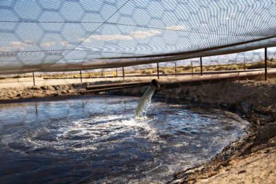 Fracking fluid and other drilling wastes are dumped into an unlined pit located right up against the Petroleum Highway in Kern County, California © Sarah Craig/ (Faces of Fracking, CC BY-NC-ND 2.0)