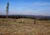 Cleared forest area in Canada - Photo:(GRID Arendal Flickr, CC BY-NC-SA 2.0)