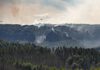 Waldbrände in der Sächsischen Schweiz Foto: André Künzelmann / UFZ