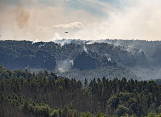 Waldbrände in der Sächsischen Schweiz Foto: André Künzelmann / UFZ