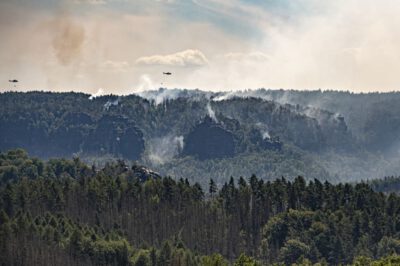 Waldbrände in der Sächsischen Schweiz. Foto: André Künzelmann / UFZ