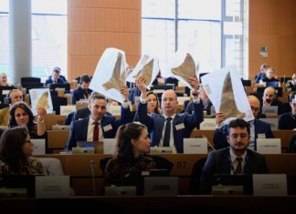 Am 27. März fand die Anhörung von Stop Finning - Stop the Trade vor dem EU-Parlament statt. Jetzt geht die Bürger:innen-Initiative in die Assessment-Phase. © Francois de Ribaucourt