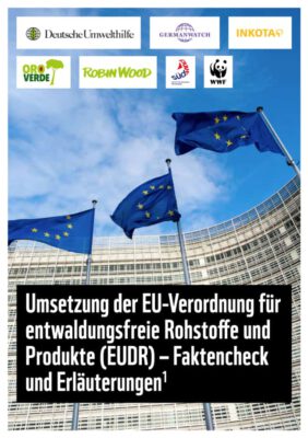 Faktencheck zur EU Verordnung fuer entwaldungsfreie Produkte 650