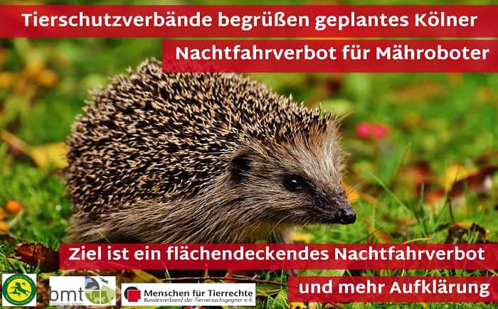 nachtfahrverbot maehroboter