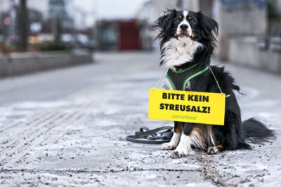 Greenpeace warnt: Massiver Streusalz-Einsatz in Österreich schadet Tieren und Natur 1 Streusalz - © Mitja Kobal / Greenpeace