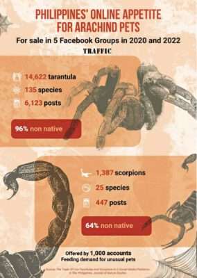 Source: The Trade Of Live Tarantulas And Scorpions In A Social Media Platforms In The Philippines, Journal of Nature Studies