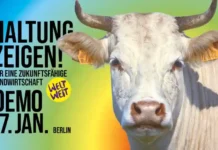 Haltung zeigen! Für eine zukunftsfähige Landwirtschaft weltweit Aufruf zur 16. "Wir haben es satt!"-Demo am 17.01.2026